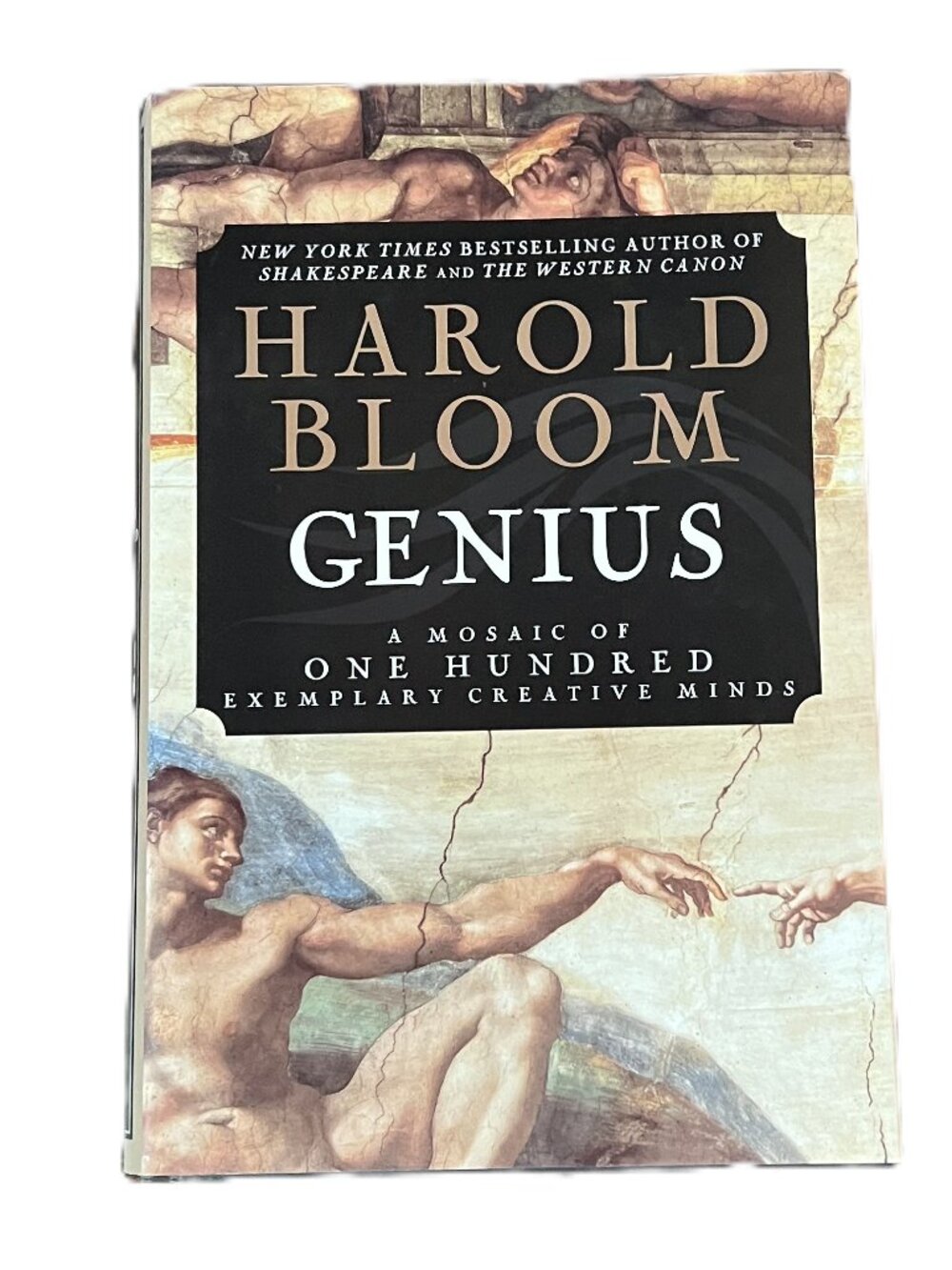 Genius, A Mosaic of One Hundred Exemplary Creative Minds by Harold Bloom